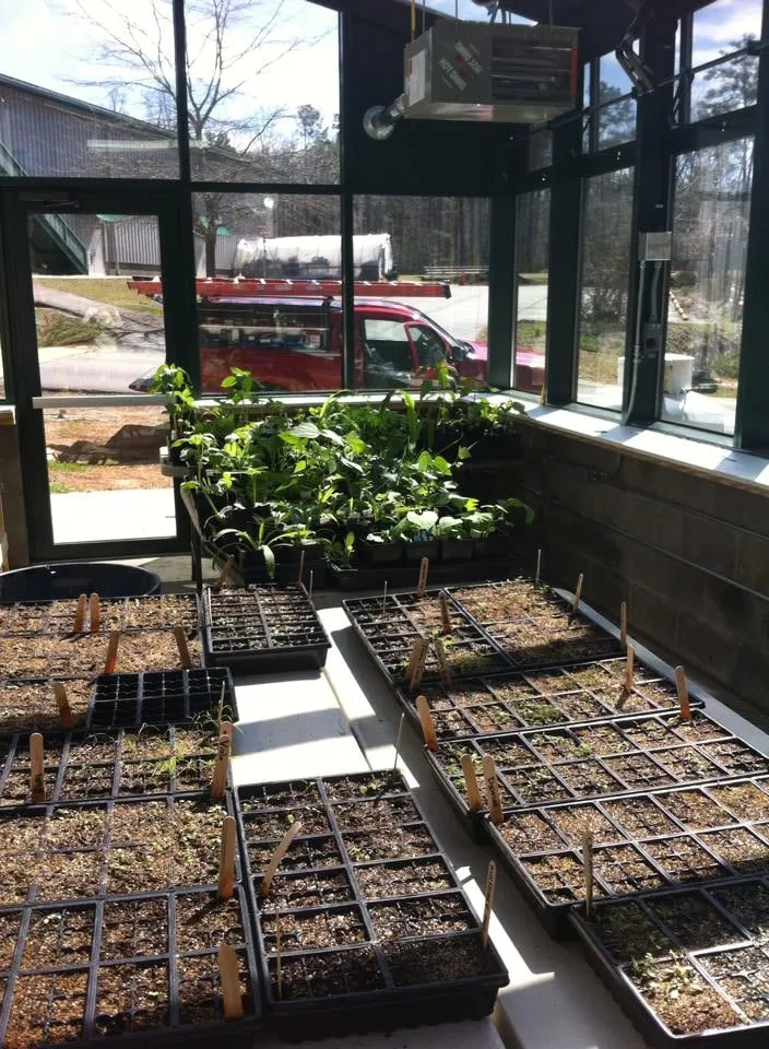 Slide of Dynamic Electric