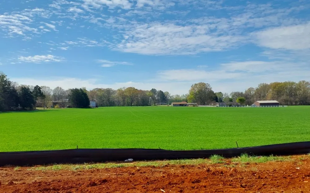 Slide of Dynamite Dave's Upgrades