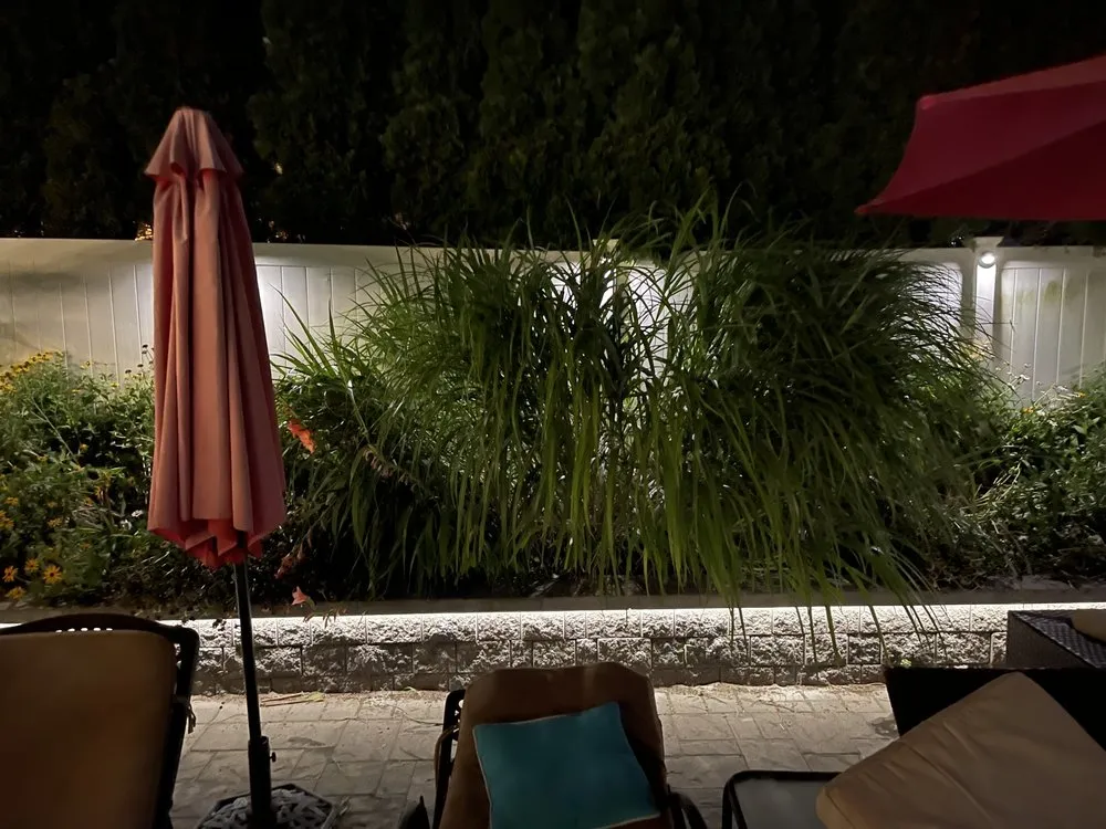 Affordable electrical service for homes in outlet and switch repair,  by 