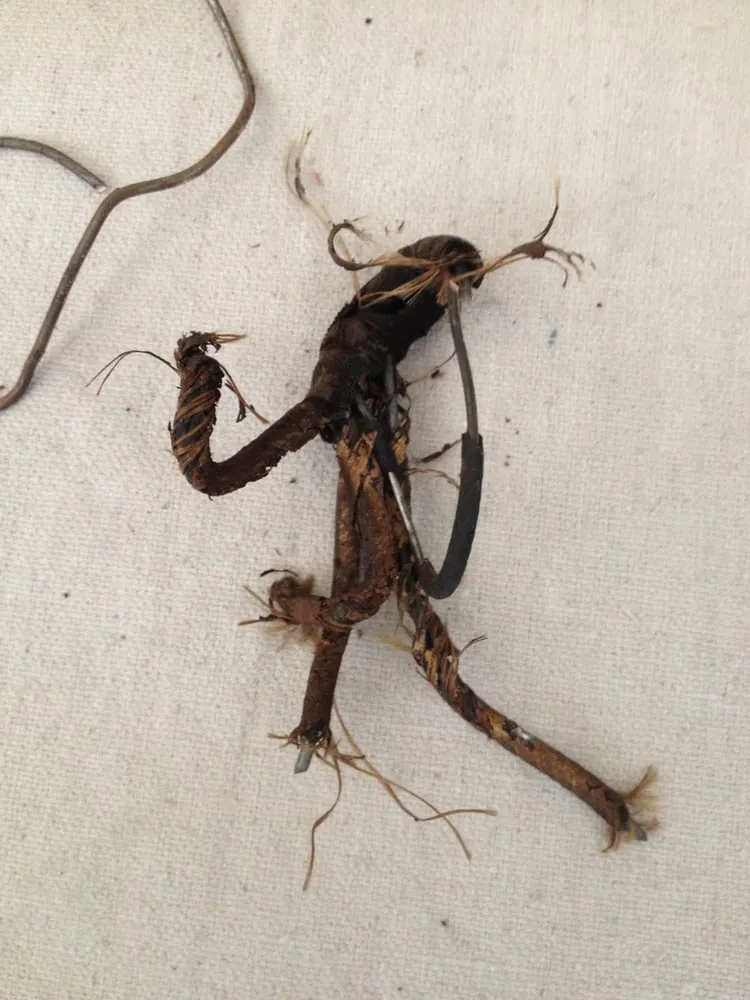 Slide of E C H Electric