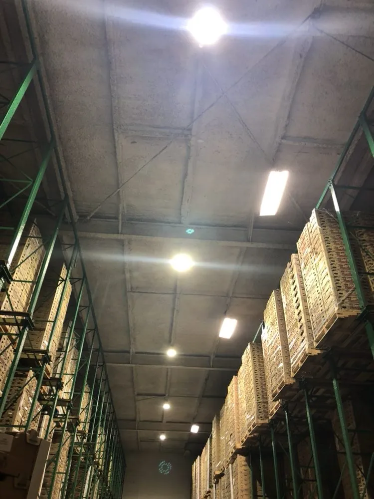 Slide of E. Electric