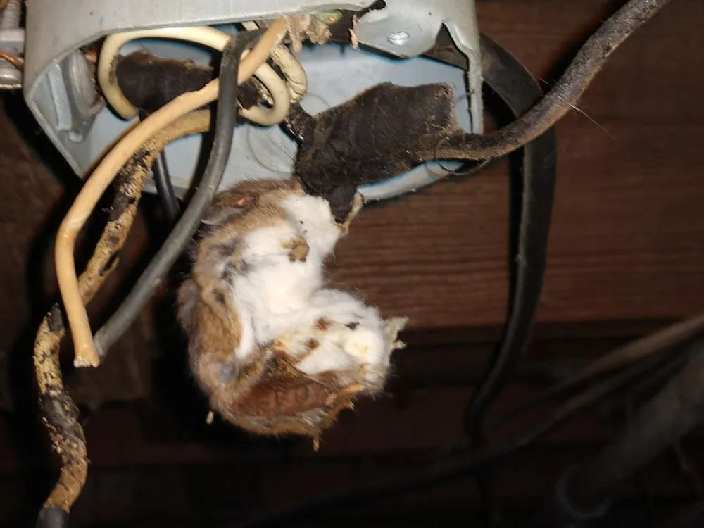 Slide of E-Z Electric