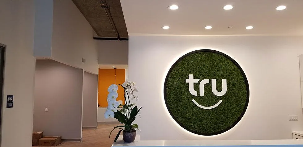 Slide of EA Professional Electric