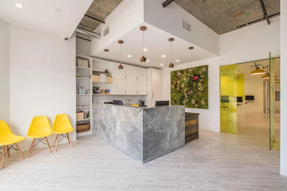 Slide of EA Professional Electric