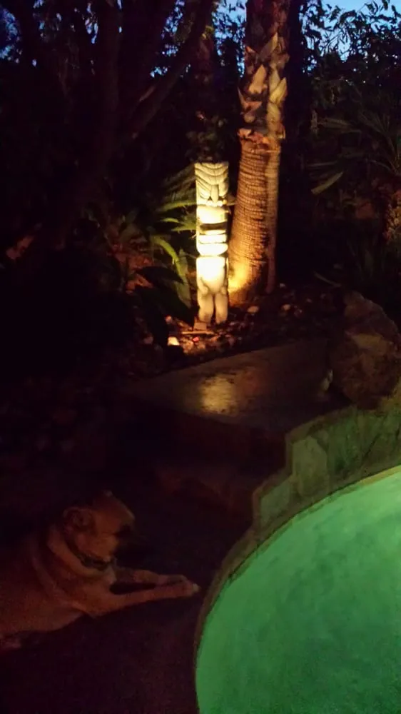 Slide of Earl's Electric