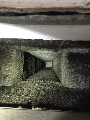 East Coast Electric Logo