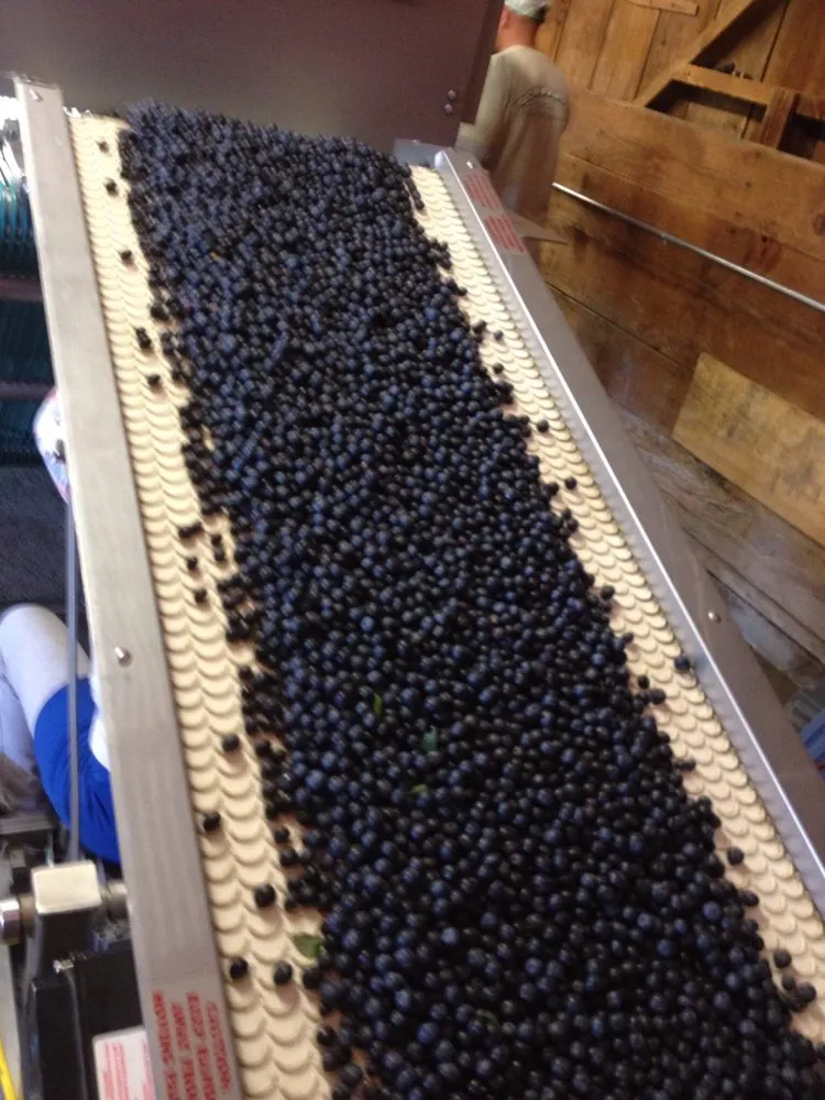 Professional circuit breaker repair in ,  by East County Electric