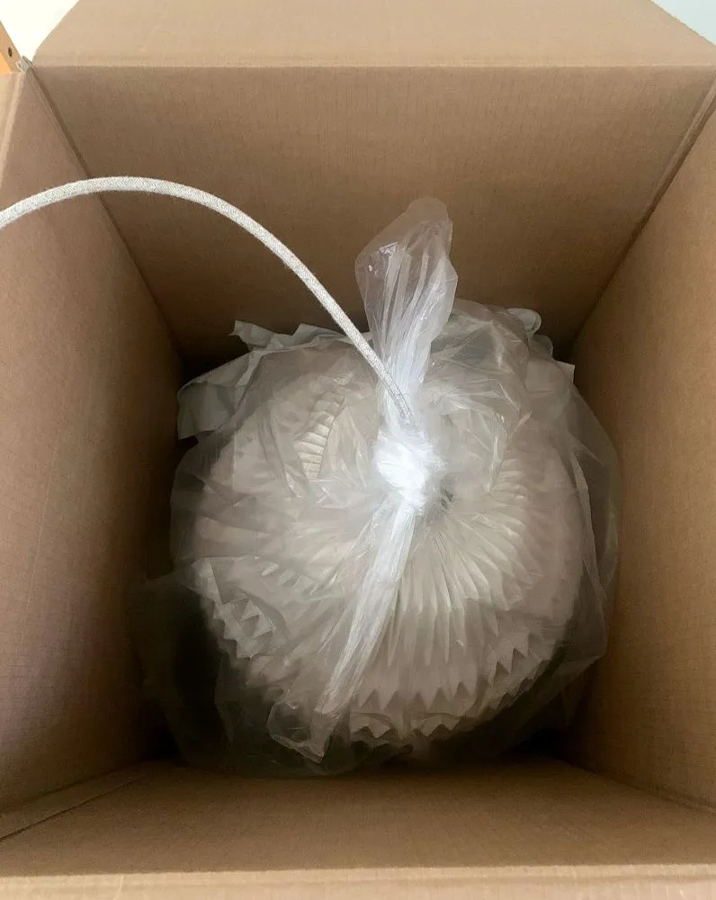 Certified panel upgrade service in ,  - East Tampa Electric