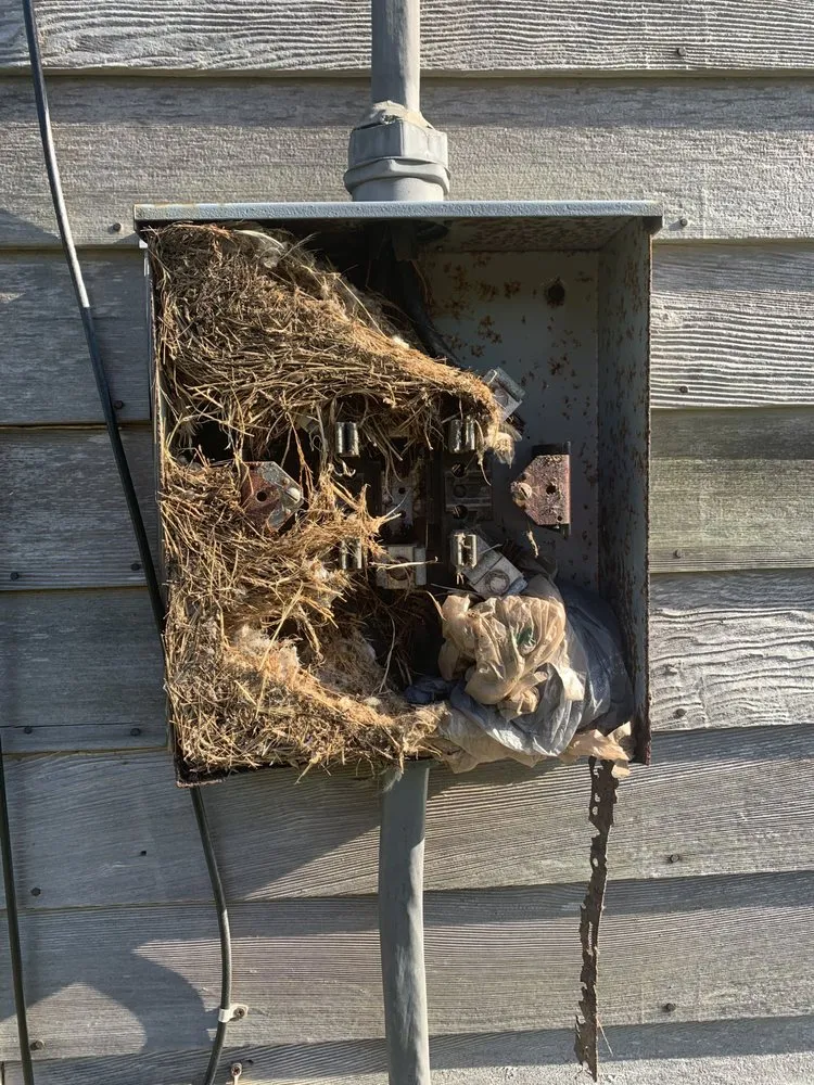 Slide of Eastern Electrical Contractors