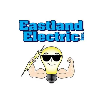 Trusted electrician providing electrical repair in , 