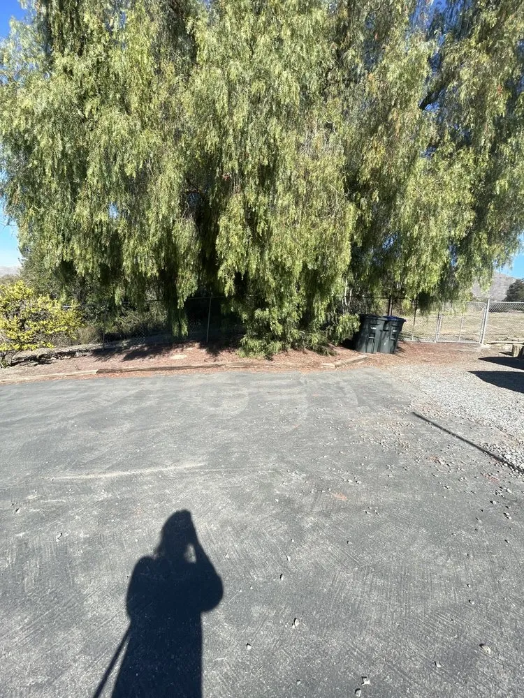 Slide of EC. Services