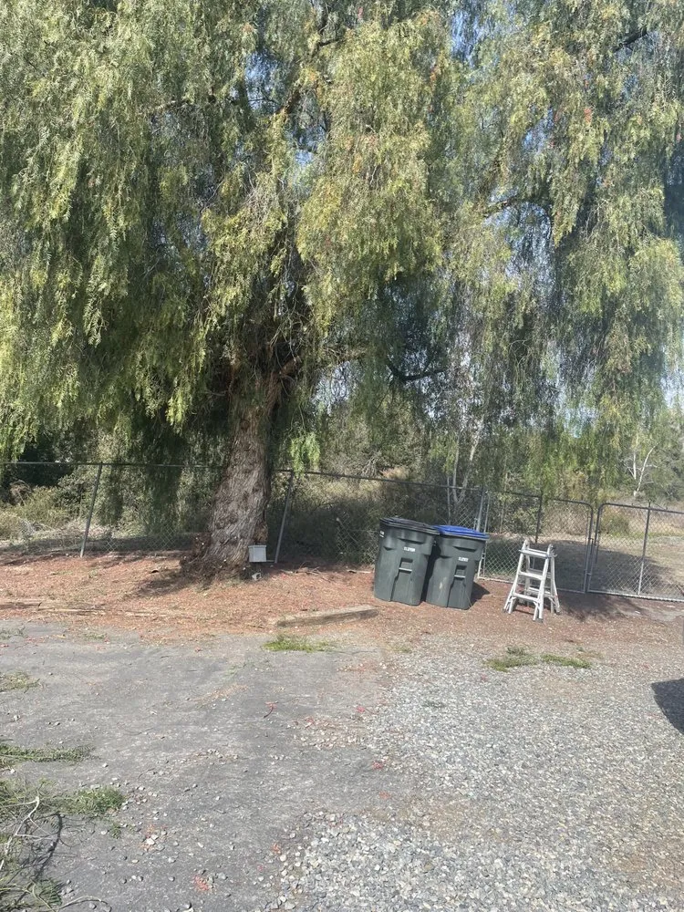 Slide of EC. Services