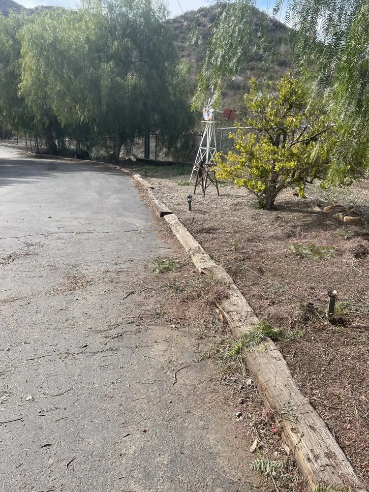 Slide of EC. Services