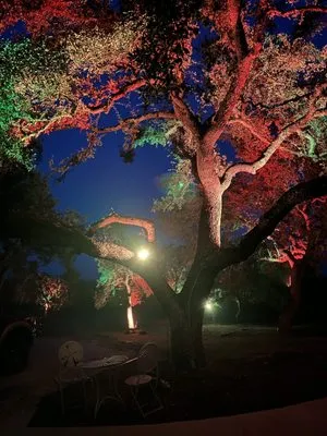 Echo Electrical & Automation