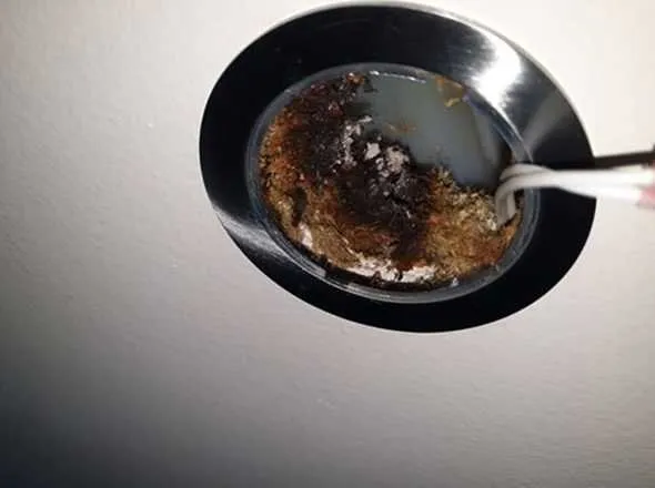 Slide of Echo Park Electric