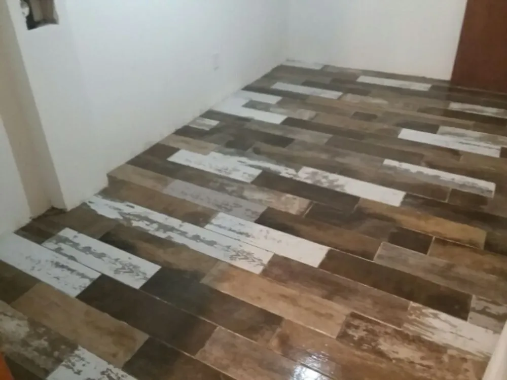 Slide of Echolutionary Construction