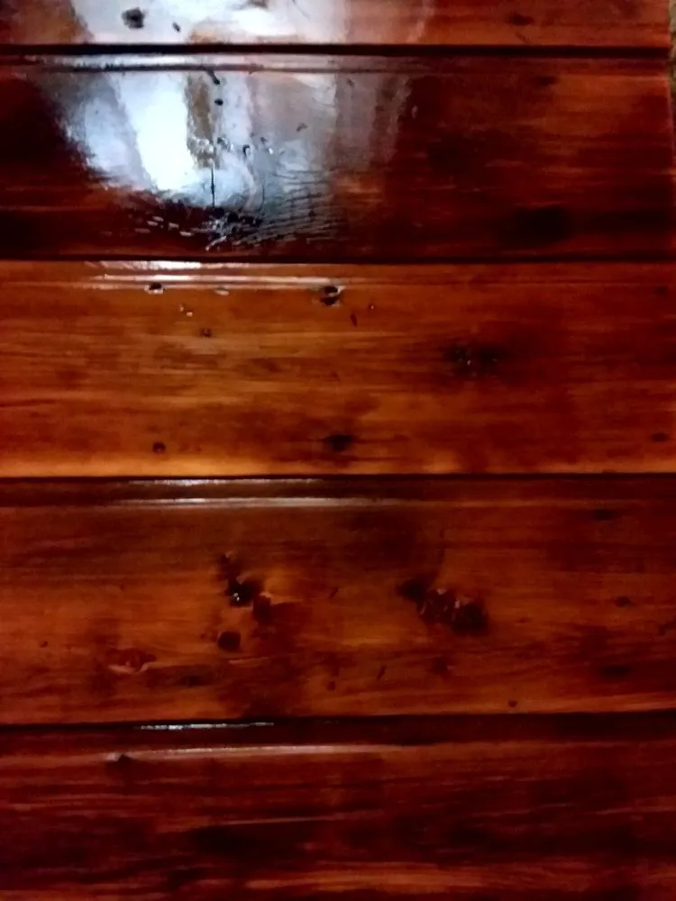 Slide of Echolutionary Construction