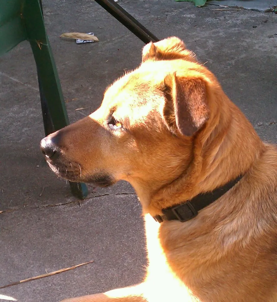 Certified circuit breaker repair experts serving ,  - Economy Wiring Company