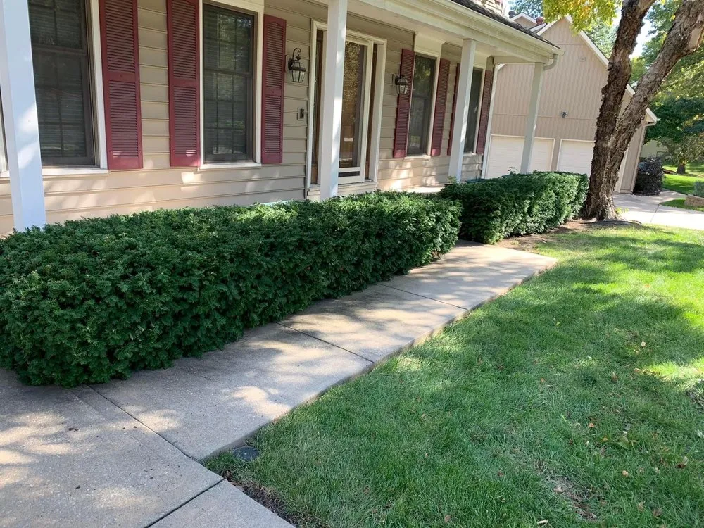 Slide of Eden services