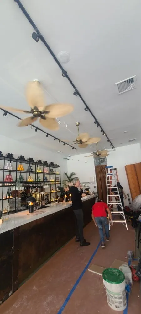 Slide of Edison Electric