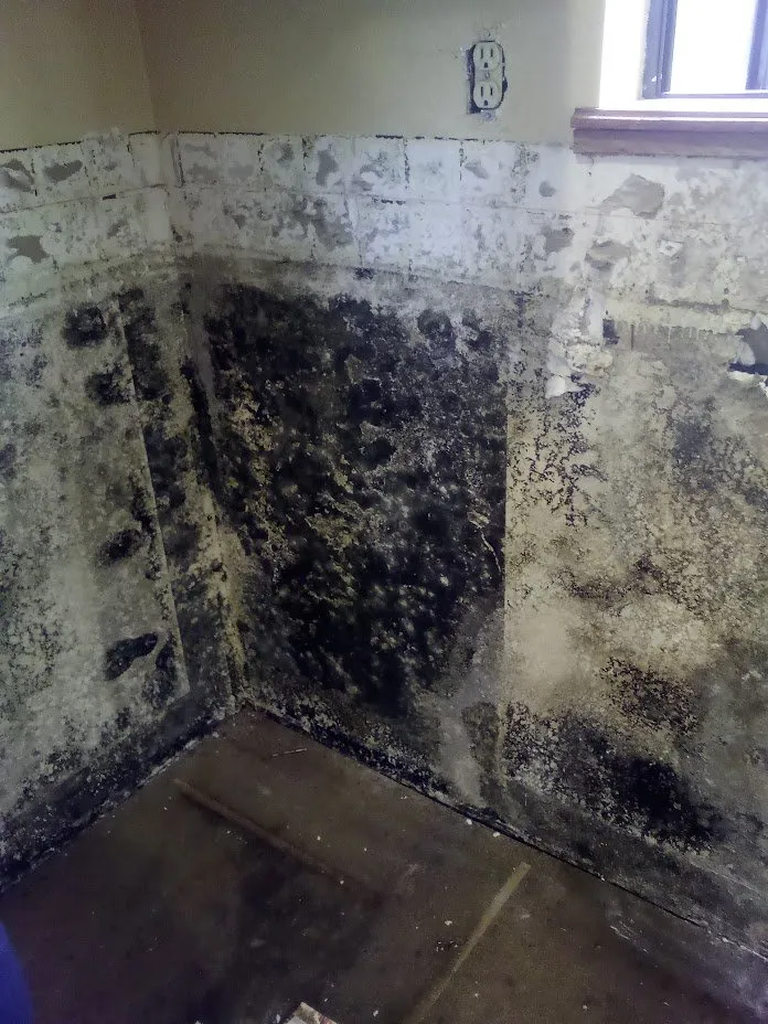 Affordable lighting installation experts serving ,  - Edison's Handyman Services