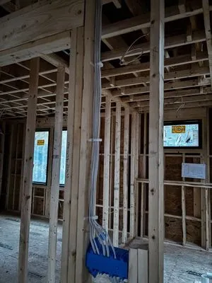 EG Gold Star Electric 