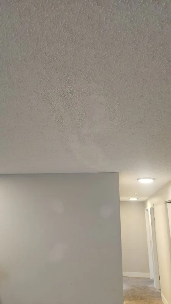 Slide of El patron Remodeling