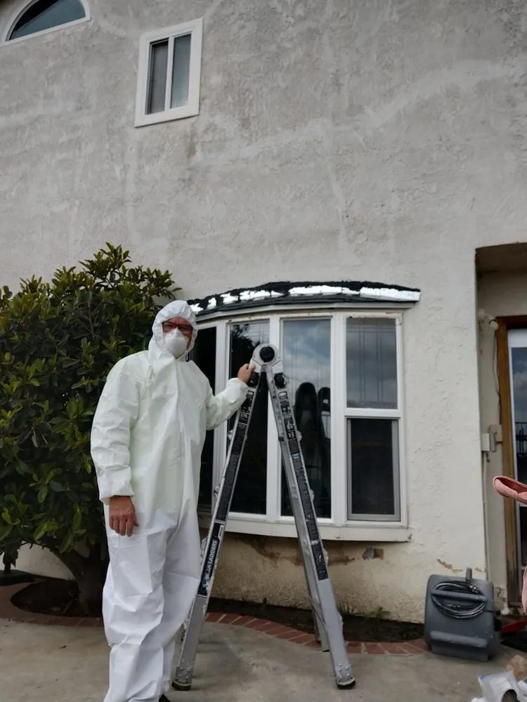 Slide of El Proyecto