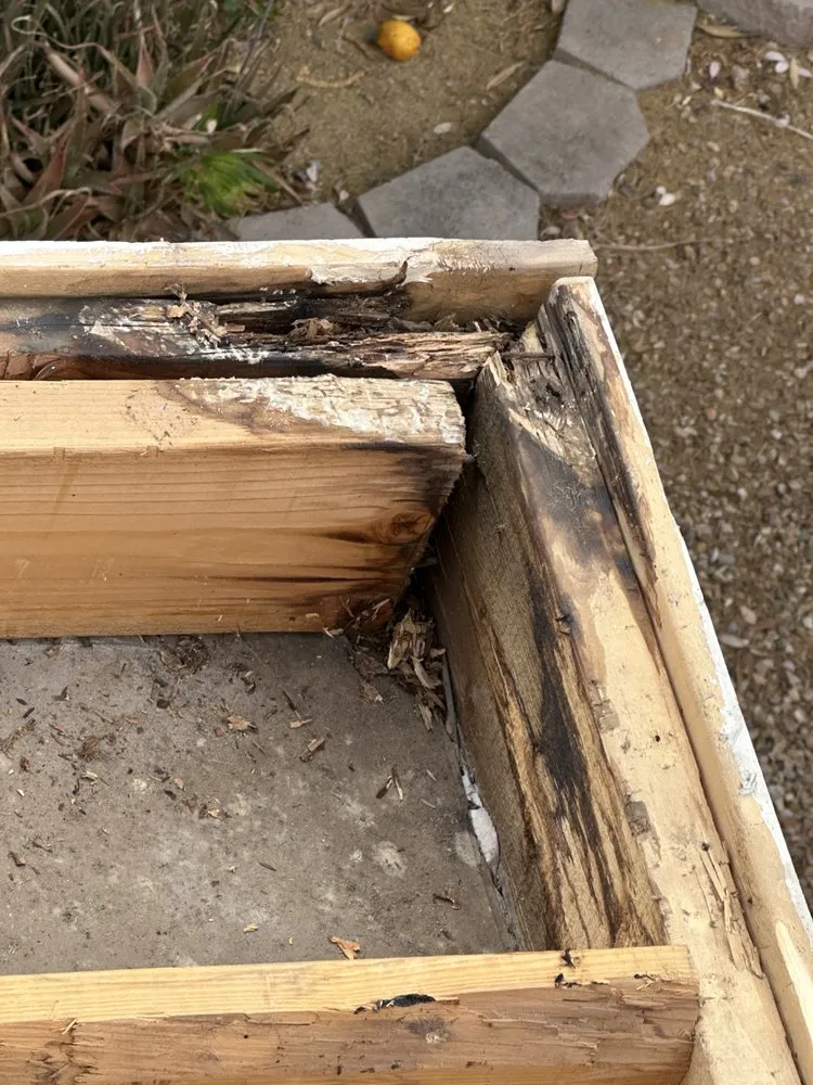 Slide of Eléctrico Plata Plata