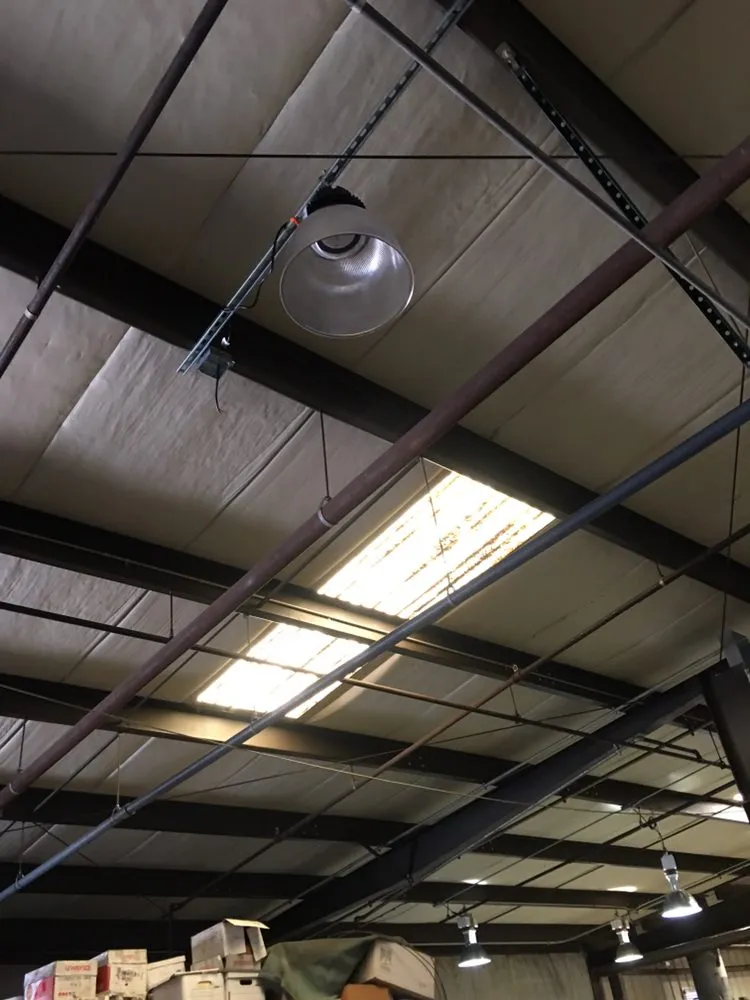 Slide of Electric 4 Less