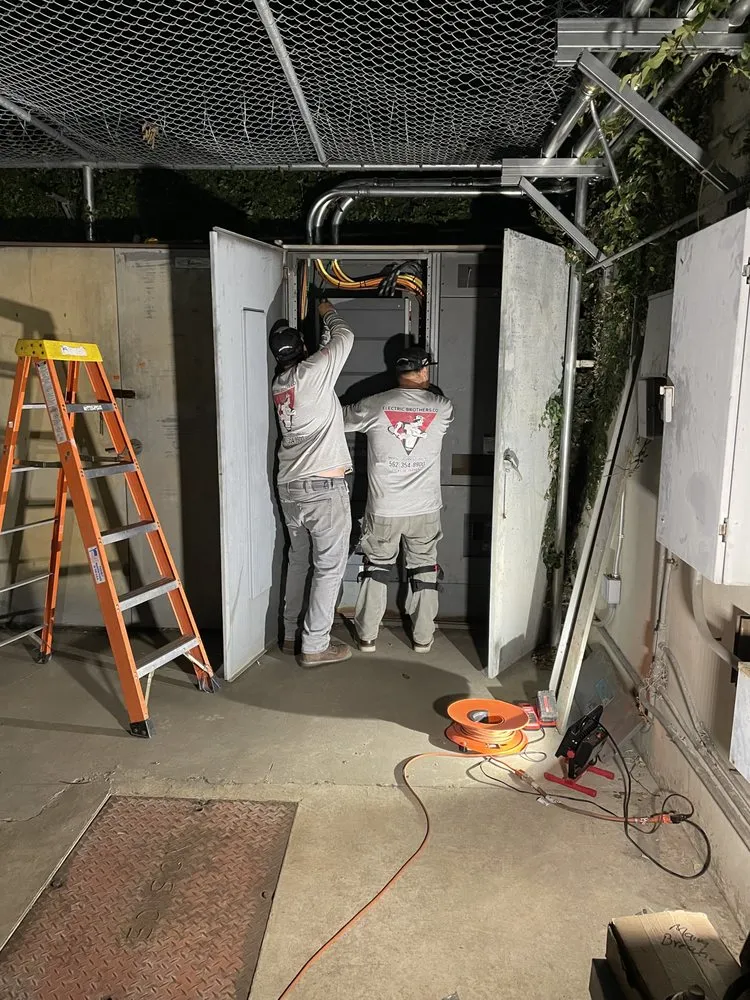 Slide of Electric Brothers