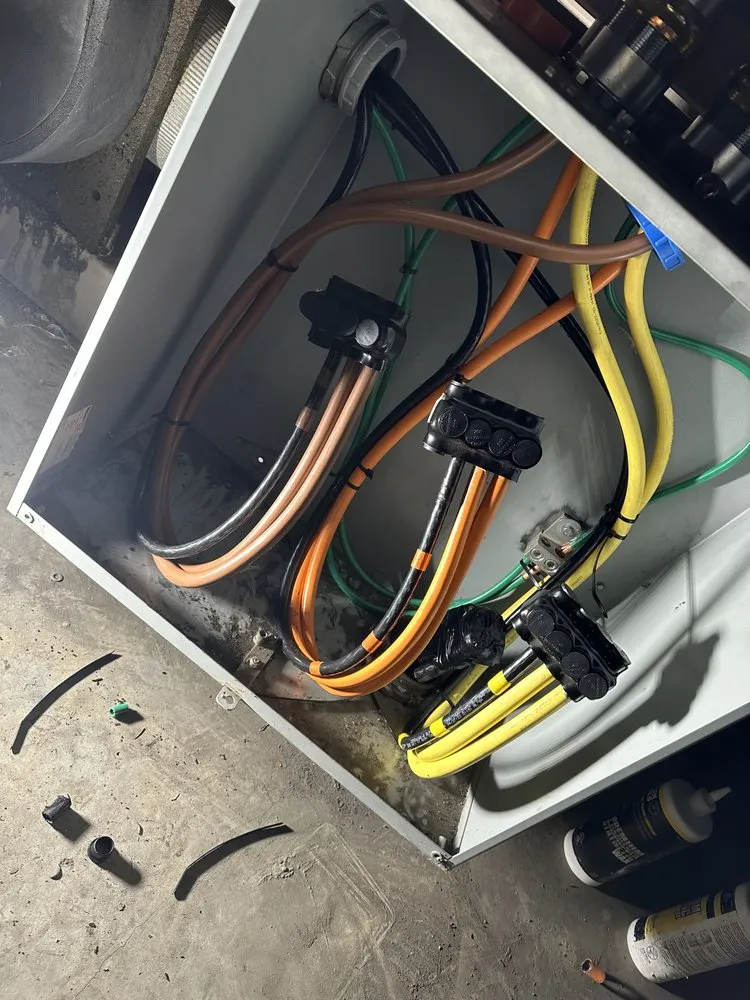 Slide of Electric Brothers