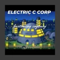 Slide of Electric C