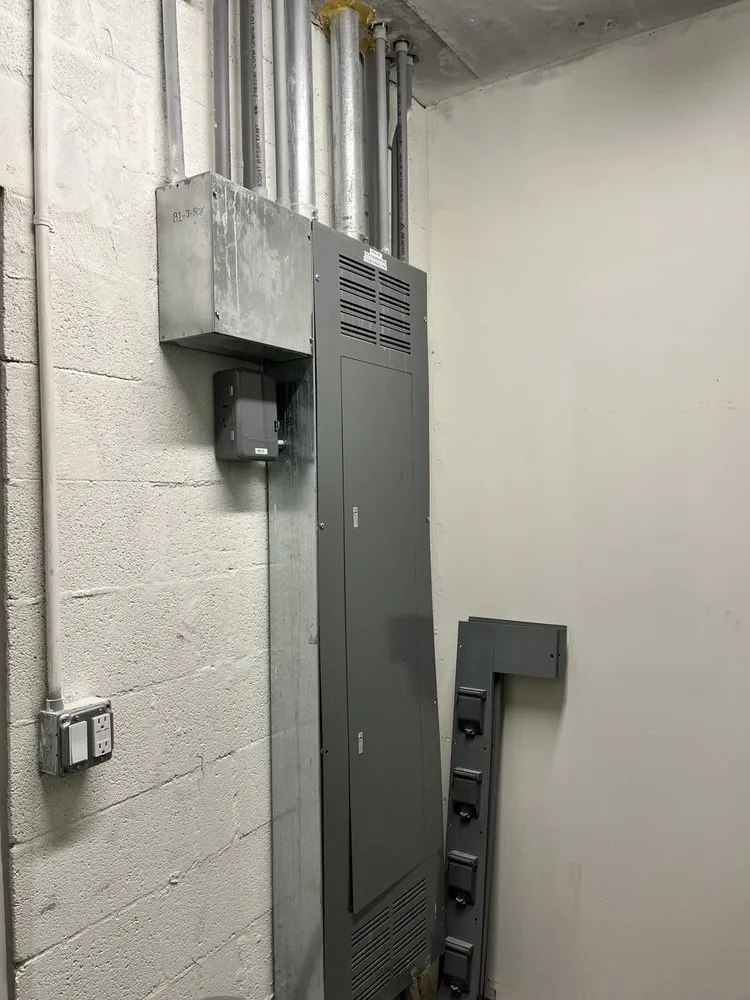 Slide of Electric Cat