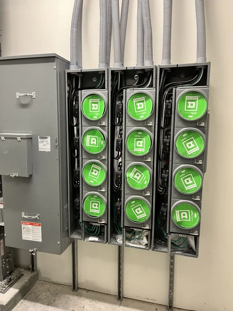 Slide of Electric Cat