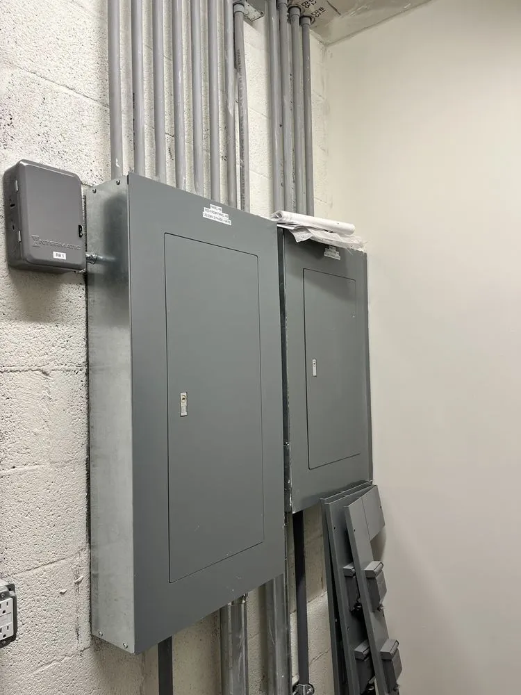 Slide of Electric Cat