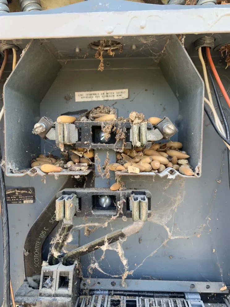 Slide of Electric Fix