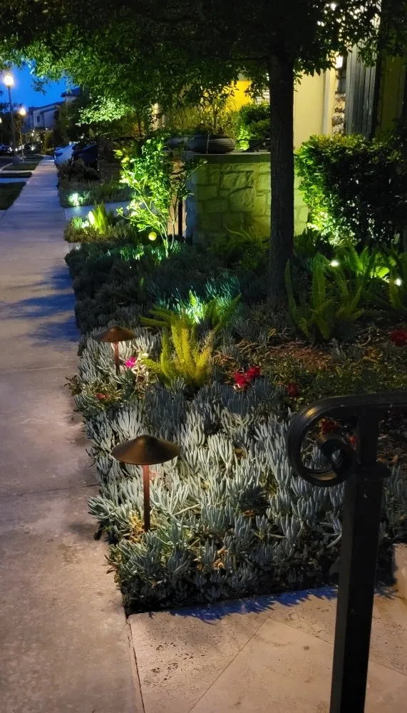 Slide of Electric Guru oc