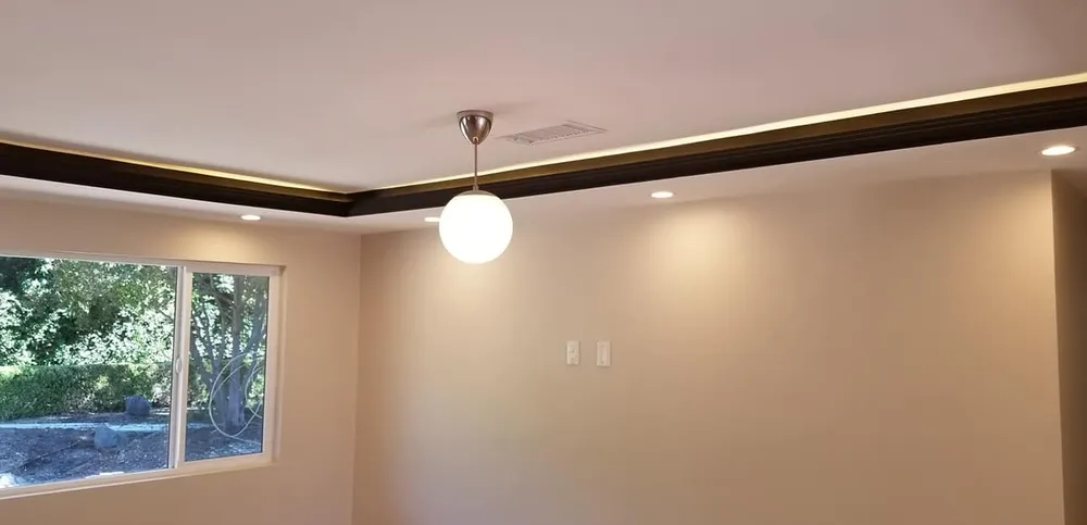 Slide of Electric Guru oc