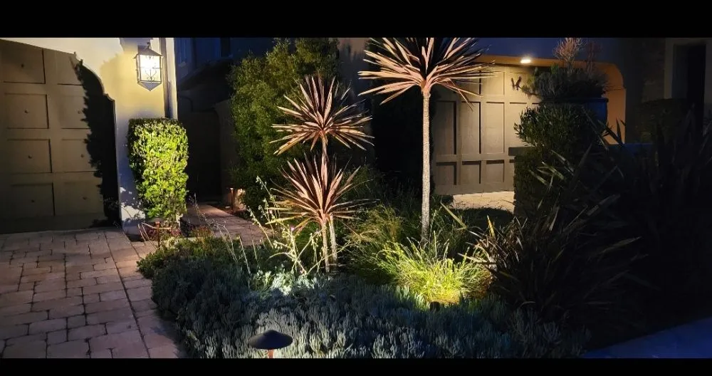 Slide of Electric Guru oc