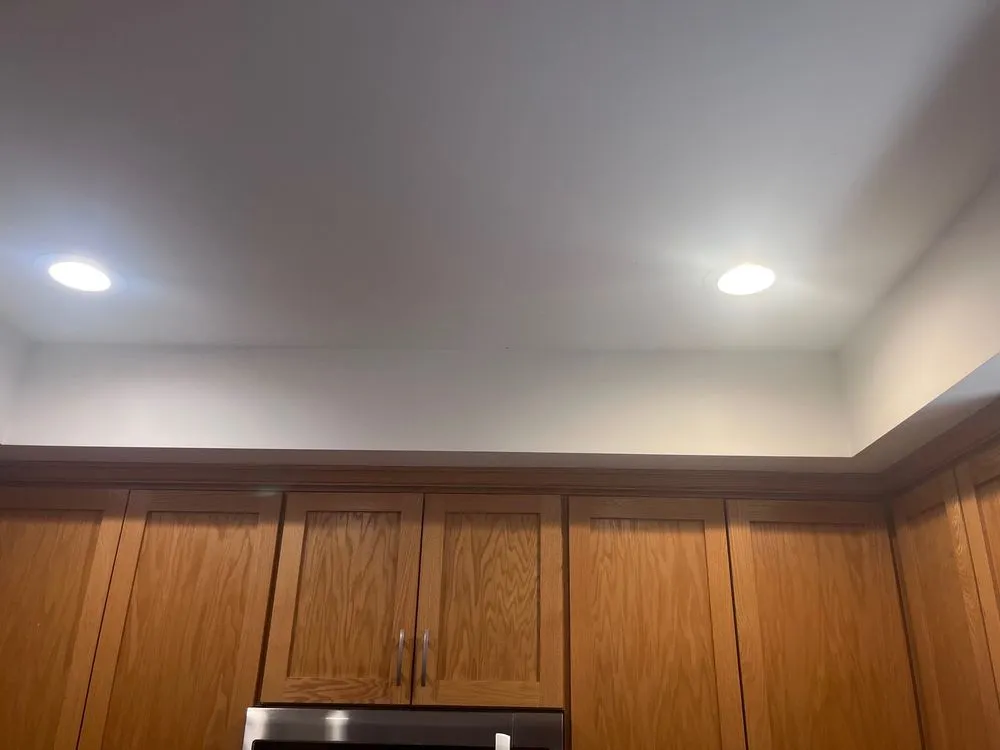 Slide of Electric Knights