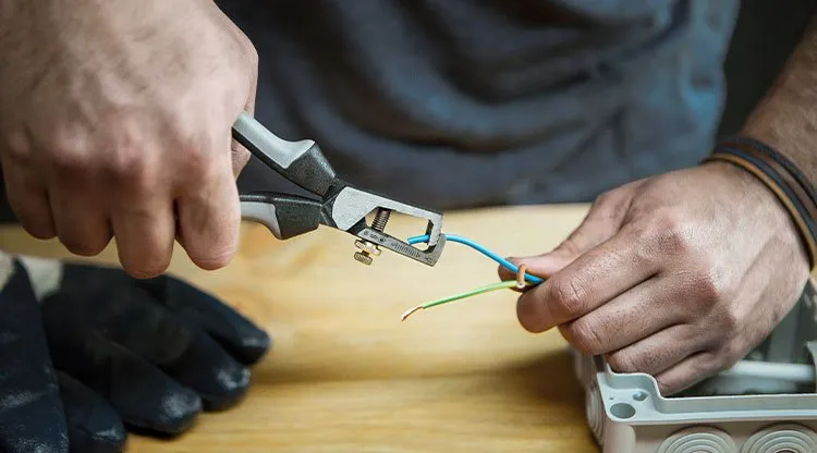 Slide of Electric Lee