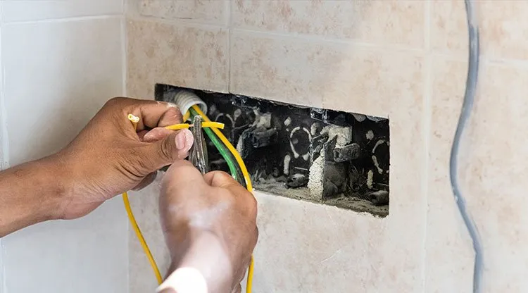 Slide of Electric Lee