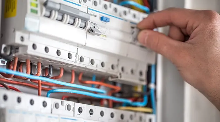 Slide of Electric Lee