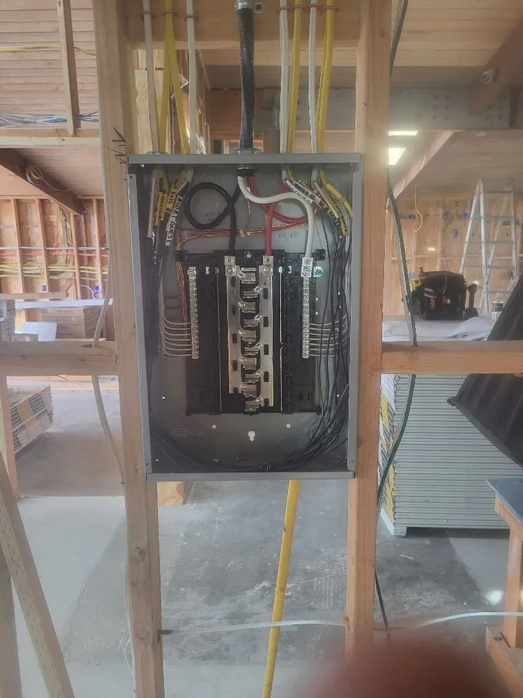 Slide of Electric Lee