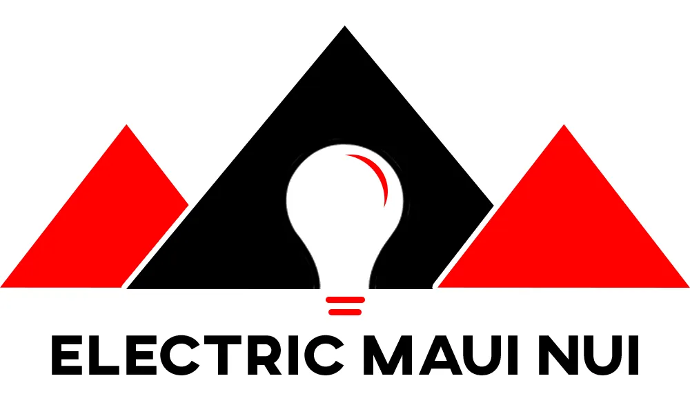 Slide of Electric Maui Nui
