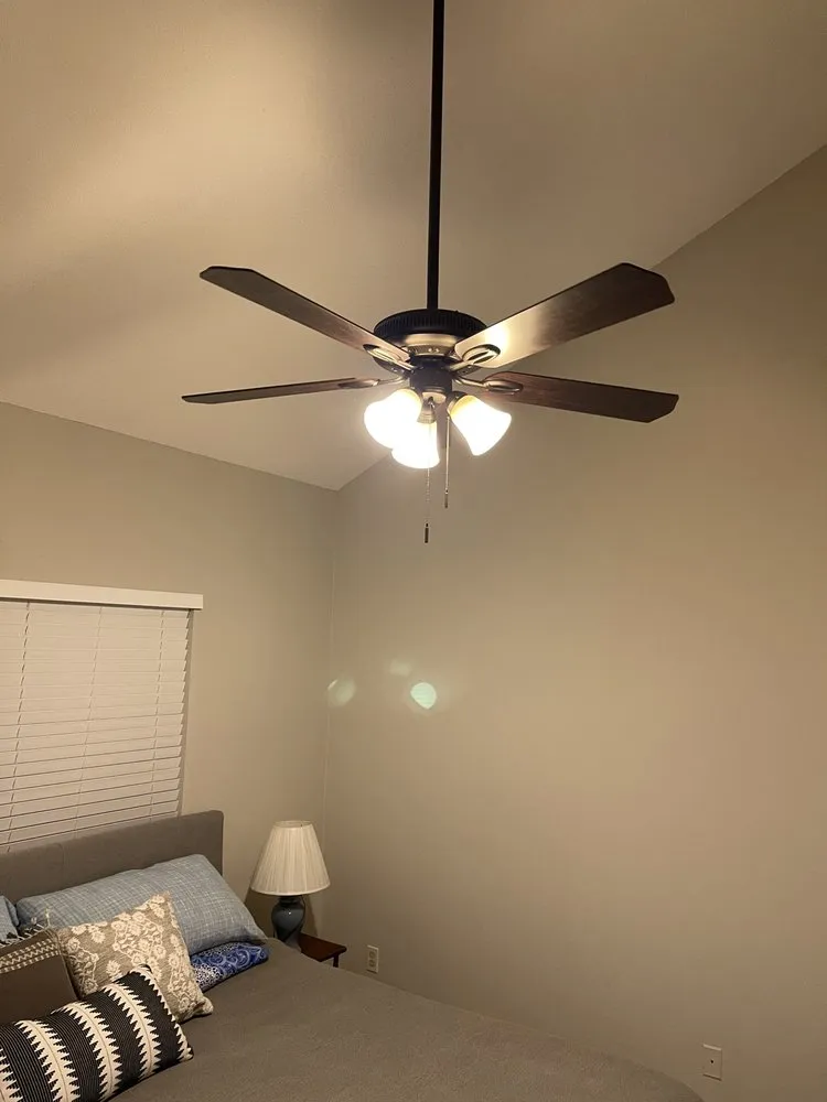 Slide of Electric Neighbor