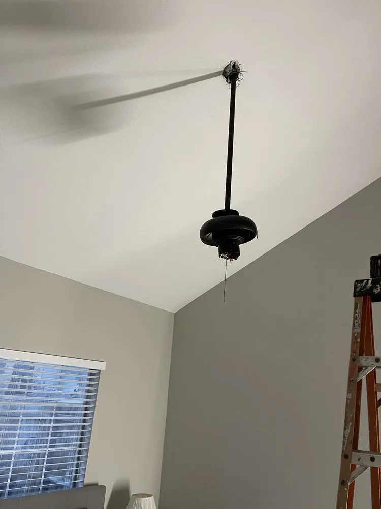 Slide of Electric Neighbor