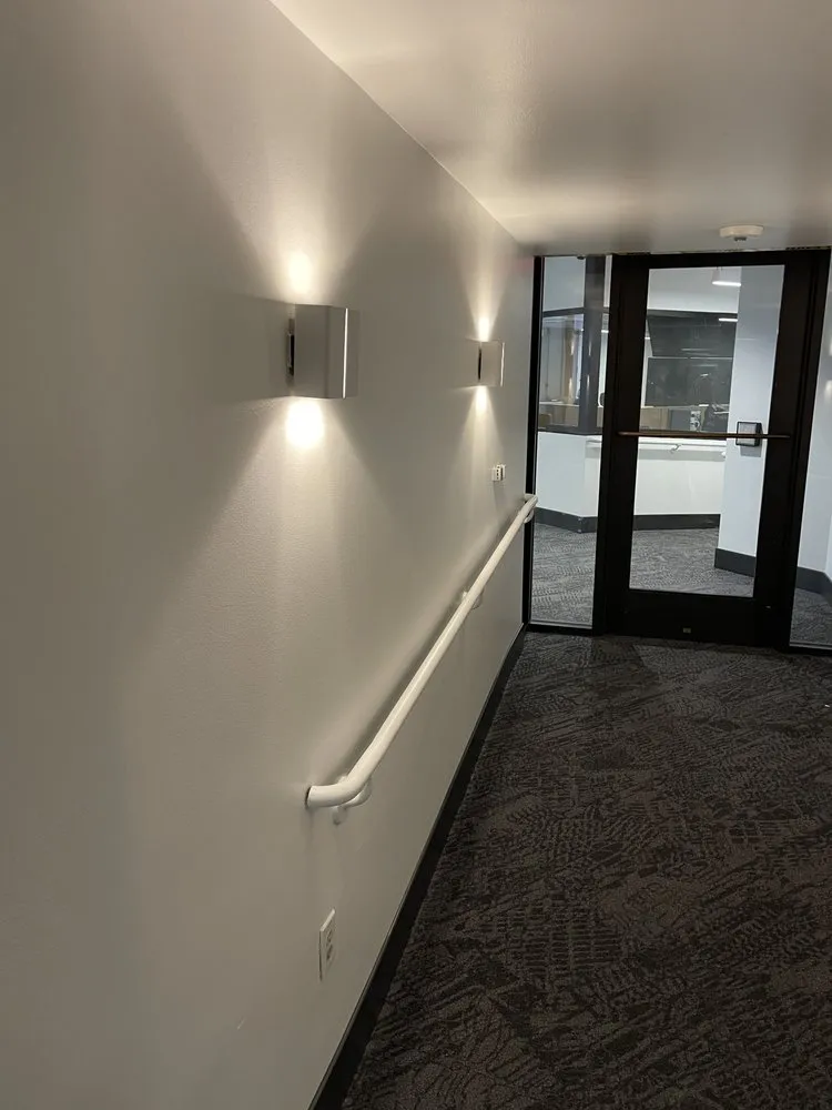 Slide of Electric Neighbor