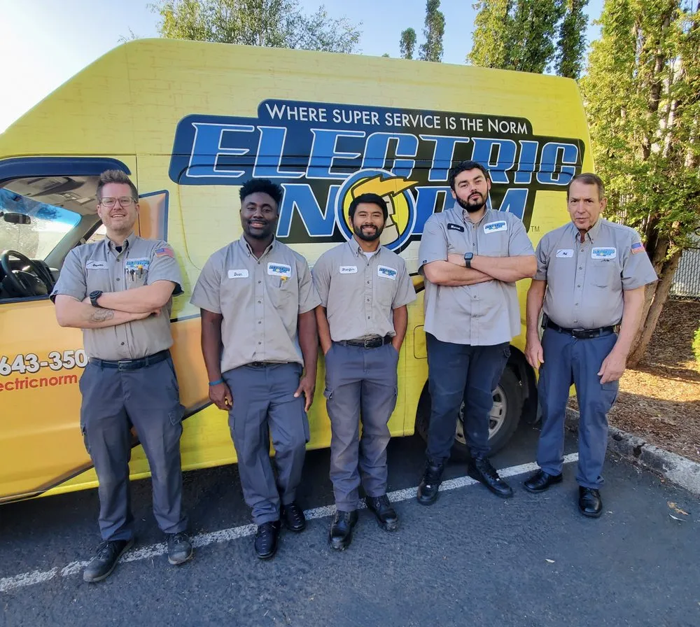 Slide of Electric Norm